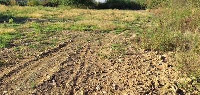 Terrain à Fonsorbes en Haute-Garonne (31) de 1000 m² à vendre au prix de 150000€ - 2