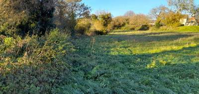 Terrain à Saint-Léger-le-Guérétois en Creuse (23) de 3725 m² à vendre au prix de 38500€ - 2