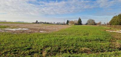 Terrain et maison à Bréauté en Seine-Maritime (76) de 120 m² à vendre au prix de 315000€ - 4