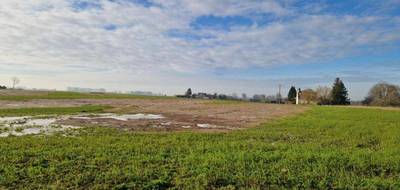 Terrain et maison à Beuzeville-la-Grenier en Seine-Maritime (76) de 81 m² à vendre au prix de 222000€ - 4