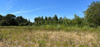 Terrain à Castelnaudary en Aude (11) de 423 m² à vendre au prix de 64500€ - 3