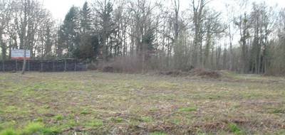 Terrain à La Chapelle-la-Reine en Seine-et-Marne (77) de 315 m² à vendre au prix de 78000€ - 3