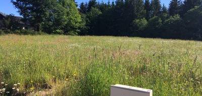 Terrain et maison à Beauvoir-sur-Niort en Deux-Sèvres (79) de 79 m² à vendre au prix de 172208€ - 4