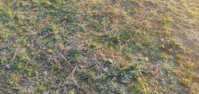 Terrain et maison à Le Bignon en Loire-Atlantique (44) de 70 m² à vendre au prix de 239261€ - 4