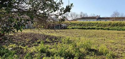 Terrain à Castelnaudary en Aude (11) de 794 m² à vendre au prix de 67000€ - 1