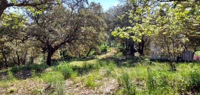 Terrain à Rians en Var (83) de 1840 m² à vendre au prix de 168000€ - 3