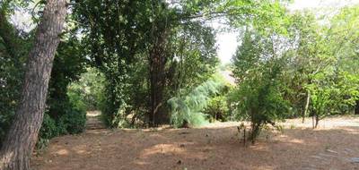Terrain et maison à Vergèze en Gard (30) de 80 m² à vendre au prix de 267100€ - 3