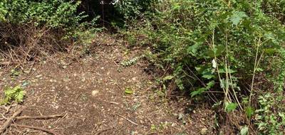 Terrain à Cessy en Ain (01) de 200 m² à vendre au prix de 350000€ - 1
