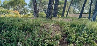 Terrain à Cabriès en Bouches-du-Rhône (13) de 750 m² à vendre au prix de 350000€ - 1