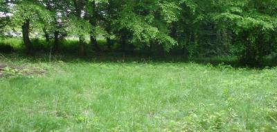 Terrain et maison à La Croix-en-Brie en Seine-et-Marne (77) de 90 m² à vendre au prix de 296800€ - 3