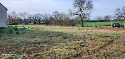 Terrain et maison à Albi en Tarn (81) de 125 m² à vendre au prix de 248037€ - 4