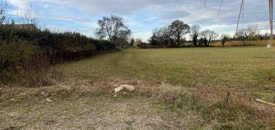 Terrain à Saint-Martin-de-Crau en Bouches-du-Rhône (13) de 835 m² à vendre au prix de 209900€ - 3