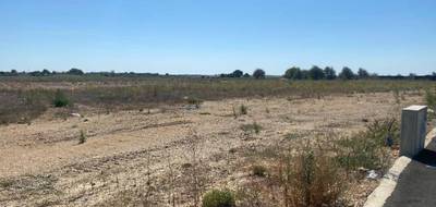 Terrain à Vendres en Hérault (34) de 279 m² à vendre au prix de 123000€ - 2
