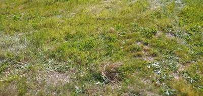 Terrain à Gujan-Mestras en Gironde (33) de 590 m² à vendre au prix de 290000€ - 4