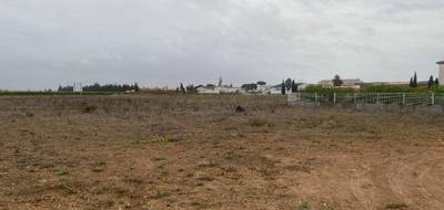 Terrain et maison à Montady en Hérault (34) de 72 m² à vendre au prix de 216510€ - 4