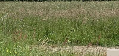 Terrain et maison à Saint-Viaud en Loire-Atlantique (44) de 80 m² à vendre au prix de 228648€ - 4