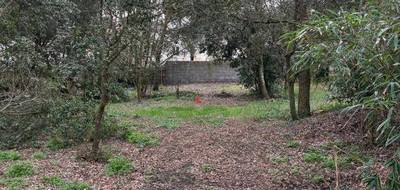Terrain à Saint-Brevin-les-Pins en Loire-Atlantique (44) de 1002 m² à vendre au prix de 432600€ - 2