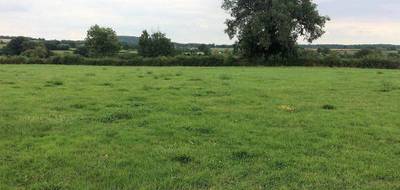 Terrain à Chalmoux en Saône-et-Loire (71) de 1323 m² à vendre au prix de 13230€ - 2