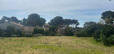 Terrain à Sausset-les-Pins en Bouches-du-Rhône (13) de 430 m² à vendre au prix de 375000€ - 3