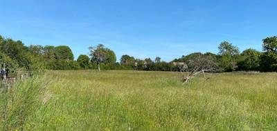 Terrain et maison à Auberville en Calvados (14) de 125 m² à vendre au prix de 439700€ - 4