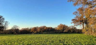 Terrain et maison à Mosnay en Indre (36) de 110 m² à vendre au prix de 214250€ - 3