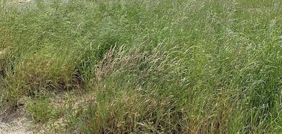 Terrain et maison à Les Achards en Vendée (85) de 70 m² à vendre au prix de 233261€ - 4