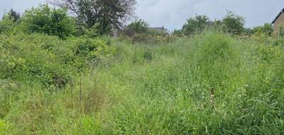 Terrain et maison à Muides-sur-Loire en Loir-et-Cher (41) de 80 m² à vendre au prix de 198550€ - 4
