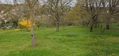 Terrain et maison à Beaumont Saint-Cyr en Vienne (86) de 1600 m² à vendre au prix de 259428€ - 3