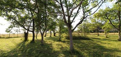 Terrain et maison à Faverolles-sur-Cher en Loir-et-Cher (41) de 2400 m² à vendre au prix de 246571€ - 4