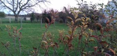 Terrain et maison à Nanteau-sur-Lunain en Seine-et-Marne (77) de 1100 m² à vendre au prix de 242457€ - 3