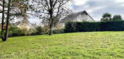 Terrain et maison à Saint-Servant en Morbihan (56) de 310 m² à vendre au prix de 188661€ - 4