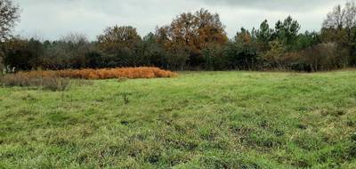 Terrain à Les Rairies en Maine-et-Loire (49) de 3250 m² à vendre au prix de 105000€ - 1
