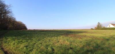 Terrain et maison à Crucheray en Loir-et-Cher (41) de 1100 m² à vendre au prix de 203571€ - 4