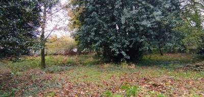 Terrain et maison à Saint-Guyomard en Morbihan (56) de 900 m² à vendre au prix de 236611€ - 4