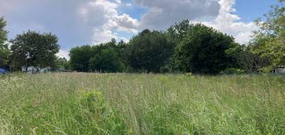 Terrain à Berson en Gironde (33) de 5136 m² à vendre au prix de 135000€ - 2