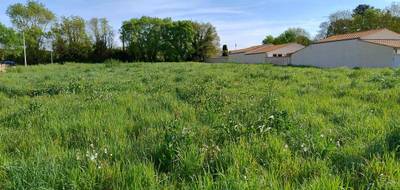 Terrain à Salles-sur-Mer en Charente-Maritime (17) de 403 m² à vendre au prix de 198000€ - 1