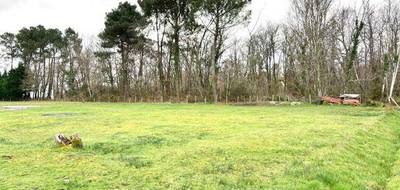 Terrain à Bourg en Gironde (33) de 617 m² à vendre au prix de 75000€ - 1