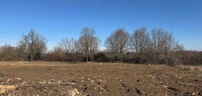Terrain à Moirax en Lot-et-Garonne (47) de 5000 m² à vendre au prix de 98000€ - 2