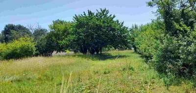 Terrain à Celles en Charente-Maritime (17) de 900 m² à vendre au prix de 20000€ - 2