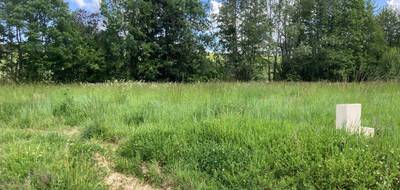Terrain à Bourg en Gironde (33) de 1000 m² à vendre au prix de 85000€ - 2