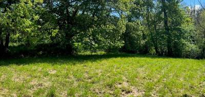 Terrain à Madirac en Gironde (33) de 1000 m² à vendre au prix de 130000€ - 2