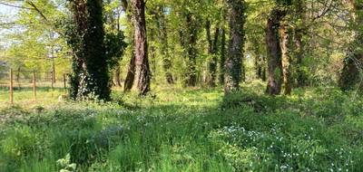Terrain à Souméras en Charente-Maritime (17) de 4630 m² à vendre au prix de 66000€ - 1