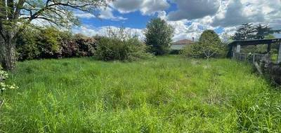 Terrain à Sérignac-sur-Garonne en Lot-et-Garonne (47) de 711 m² à vendre au prix de 50000€ - 2
