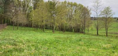 Terrain à Saint-Palais en Gironde (33) de 3331 m² à vendre au prix de 40000€ - 2