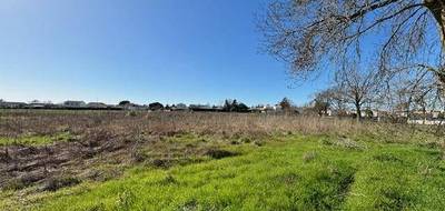 Terrain à Médis en Charente-Maritime (17) de 468 m² à vendre au prix de 74000€ - 2