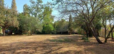 Terrain à Targon en Gironde (33) de 727 m² à vendre au prix de 7900€ - 1