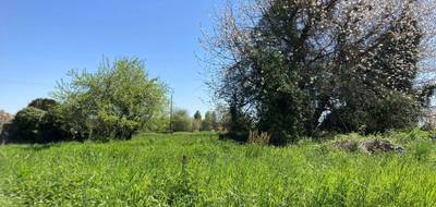 Terrain à Montendre en Charente-Maritime (17) de 3000 m² à vendre au prix de 30000€ - 1