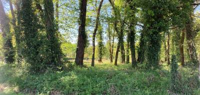 Terrain à Souméras en Charente-Maritime (17) de 4630 m² à vendre au prix de 66000€ - 2