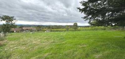 Terrain à Souternon en Loire (42) de 0 m² à vendre au prix de 33000€ - 3