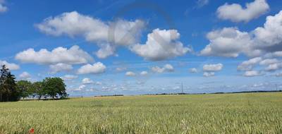 Terrain à Angliers en Vienne (86) de 7000 m² à vendre au prix de 87300€ - 2